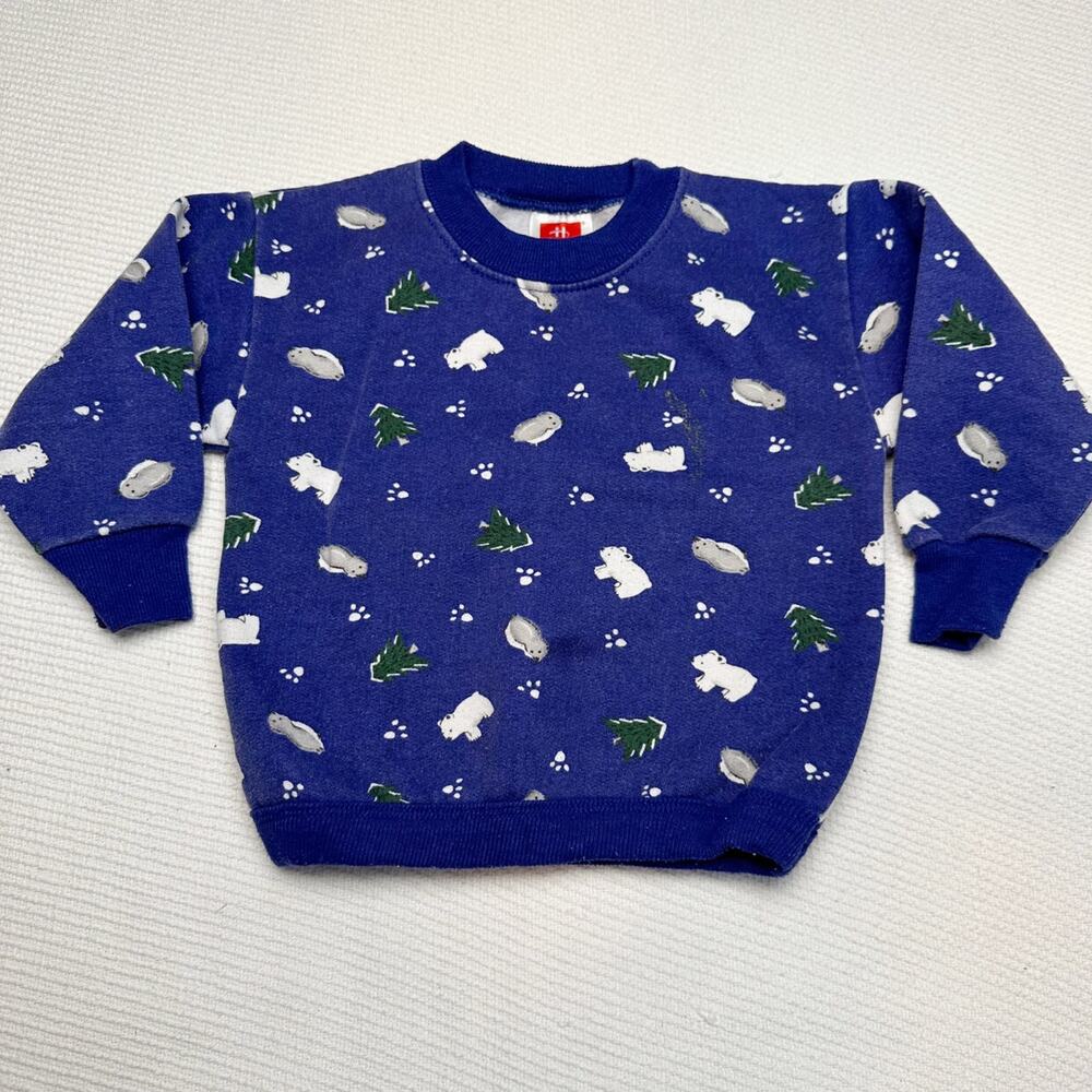 Vintage Hanes Arctic Sweatshirt